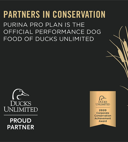 Sport Performance 30/20 Turkey, Duck & Quail Formula Dry Dog Food - 6 Lb. Bag