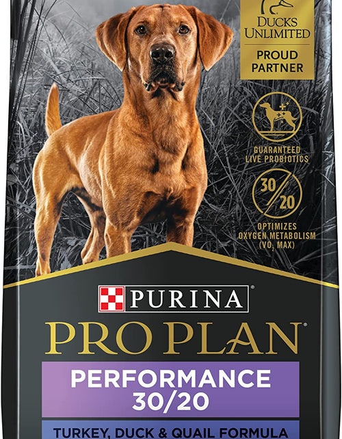 Load image into Gallery viewer, Sport Performance 30/20 Turkey, Duck &amp; Quail Formula Dry Dog Food - 6 Lb. Bag
